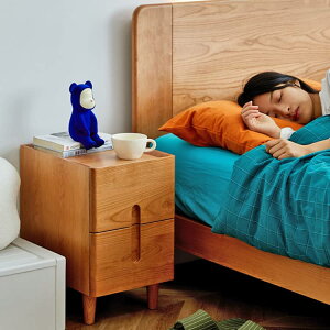 iCge[u TChe[u Q[ xbhTChe[u \t@TCh `FXg VR o [ `F[ 20cm 30cm  k _ RpNg ȃXy[X i`