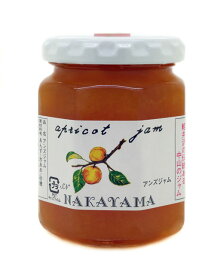 中山のジャム アンズ・ジャム 140g
