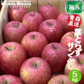 りんご葉取らずリンゴ青森県産 葉とらず サンふじ青森りんご 葉とらずりんごお取り寄せ 果物フルーツ ギフト5kg　18〜20玉入り