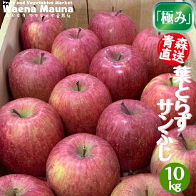 りんご葉取らずリンゴ青森県産 葉とらず サンふじ青森りんご 葉とらずりんごお取り寄せ 果物フルーツ ギフト10kg　36〜40玉入り