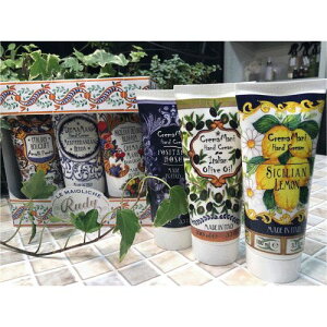  }J nhN[ MtgZbg Xȅi͓{̔̐Kiłsvz3,980~őIt