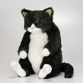 Cuddly(カドリー)ソメゴロー(Somegoro)★この商品は日本国内販売の正規品です★《お買い物合計金額3,980円で送料無料！》