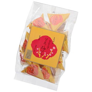 ݂͂~ 12聚~̗AIB̓썂~gpIIsvz3,980~őIt