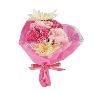 fBY C u[ oXt[u[P ̏i͓{̔̐Kiłsvz3,980~őIt