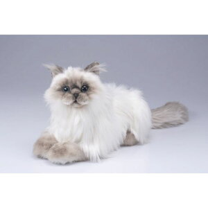 ȂłȂł˂ EX q}̏i͓{̔̐Kiłsvz3,980~őIt