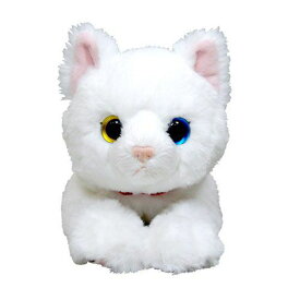 ひざねこS 白オッドアイ★この商品は日本国内販売の正規品です★《お買い物合計金額3,980円で送料無料！》