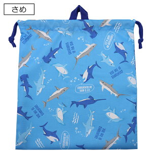 yjVIiԁz W[WP[X ̑ В obO 31×33cm  w ʉ ʊw y(ō1000~̂グ)z