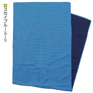 N[^I ۗܗp|Pbgt ⊴^I p^I N[lbN^I MǑ΍ PE100 30×90cm  w ʉ ʊw y(ō1000~̂グ)z