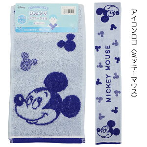 Ђ}t[^I ۗ2t ۗ܃|Pbgt }t[^I N[^I MǑ΍ 15×85cm 100 ~bL[ V[ sO[  w ʉ ʊwy(ō1000~