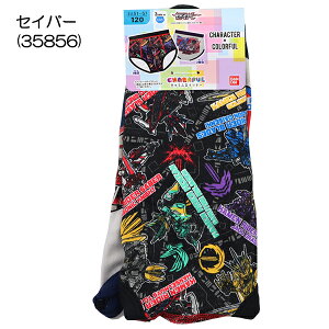 100 [JCW[ ZCo[ q j u[t  2g 100-120cm  w ʉ ʊwy(ō1000~̂グ)z