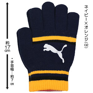 PUMA v[} LbgS }WbNO[u jbg ׂ~ߕt ̂т̂ю q LbY  ĂԂ uh  w ʉ ʊw yz