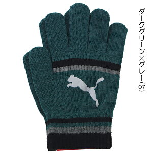 PUMA v[} LbgS }WbNO[u jbg ׂ~ߕt ̂т̂ю q LbY  ĂԂ uh  w ʉ ʊw yz