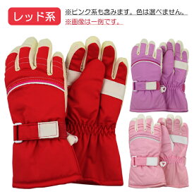 【少々難あり：カラーアソート】 スキー手袋 アーチライン 子供 キッズ 手袋 てぶくろ グローブ EGAL 入園 入学 通園 通学 【送料無料(税込1000円のお買上げが条件)】