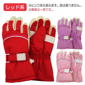 yXFJ[A\[gz XL[ A[`C q LbY  ĂԂ O[u EGAL  w ʉ ʊw y(ō1000~̂グ)z