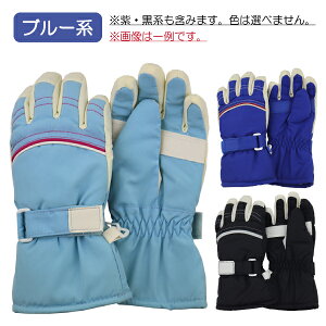 yXFJ[A\[gz XL[ A[`C q LbY  ĂԂ O[u EGAL  w ʉ ʊw y(ō1000~̂グ)z