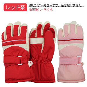 yXFJ[A\[gz XL[ Xg[gC q LbY  ĂԂ O[u EGAL  w ʉ ʊw y(ō1000~̂グ)z