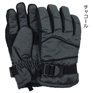 XL[ +iq q LbY  ĂԂ O[u EC^[O[u  w ʉ ʊw yz