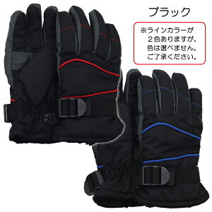 XL[ +iq q LbY  ĂԂ O[u EC^[O[u  w ʉ ʊw yz