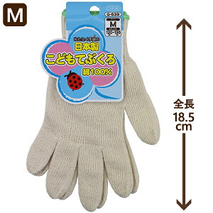 { ӂ OTAFUKU ǂĂԂ qpR q ǂ LbY  R 100y(ō1000~̂グ)z w ʉ ʊw