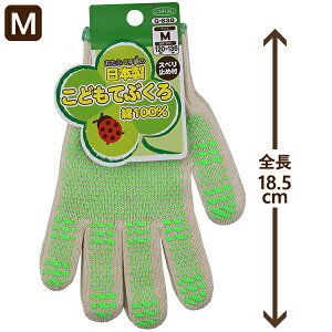 { ӂ OTAFUKU ǂĂԂ qpR q ǂ LbY  R 100 yXx~ߕtzy(ō1000~̂グ)z w ʉ ʊw