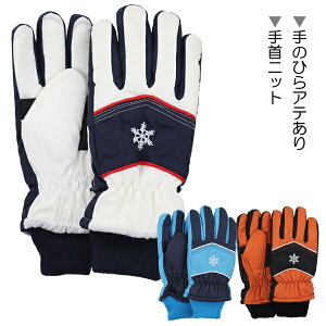 XL[ ̌hJ×b2{pCs q LbY WjA  ĂԂ O[u JUNIOR GLOVES  w ʉ ʊw yz