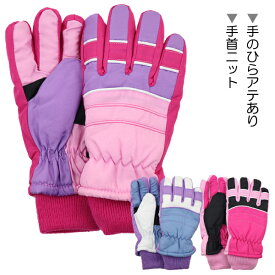 スキー手袋 指カラー切替 子供 キッズ ジュニア 手袋 てぶくろ グローブ JUNIOR GLOVES 入園 入学 通園 通学 【送料無料】