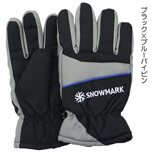 XL[ ShJ×J[pCs q LbY WjA  ĂԂ O[u SNOWMARK  w ʉ ʊw yz