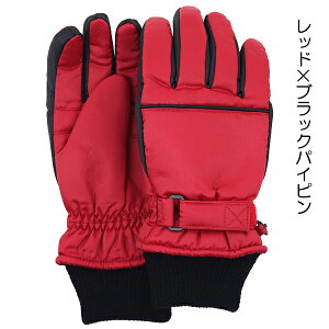 XL[ bubNpCsC q LbY WjA  ĂԂ O[u ڂĂԂ  w ʉ ʊw yz