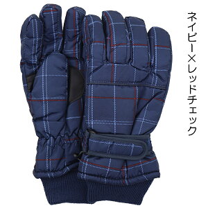 XL[ _`FbN q LbY WjA  ĂԂ O[u EC^[O[u  w ʉ ʊw yz