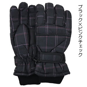 XL[ _`FbN q LbY  ĂԂ O[u EC^[O[u  w ʉ ʊw yz