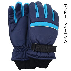 XL[ bO[pCsC q LbY WjA  ĂԂ O[u ڂĂԂ  w ʉ ʊw yz