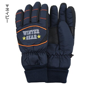 XL[ WINTERGEAR q LbY WjA  O[u EC^[O[u 2F yz w ʉ ʊw