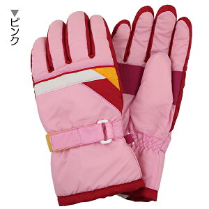 yAF݌ɏ z XL[ J[ؑ q LbY WjA  ĂԂ O[u EGAL  w ʉ ʊw y(ō1000~̂グ)z