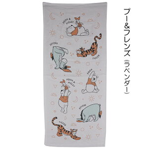 LN^[ \K[[  tFCX^I ^I 100 34×80cm ^OȂ pEpg Ђ̃V[ vcF v[  w ʉ ʊw y(ō1000~̂グ