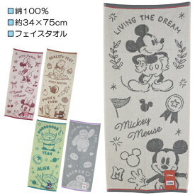 ディズニー 両面パイル ジャガード フェイスタオル タオル 綿100％ 約34×75cm ミッキー ミニー プー トイ ベイマックス 入園 入学 通園 通学 【送料無料(税込1000円のお買上げが条件)】