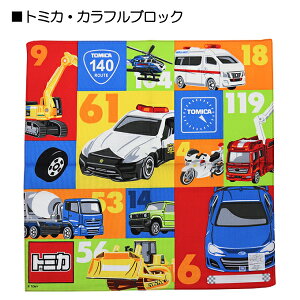 { g[}X g~J v[ `NX ٓ 100 42×42cm  w ʉ ʊwy(ō1000~̂グ)z