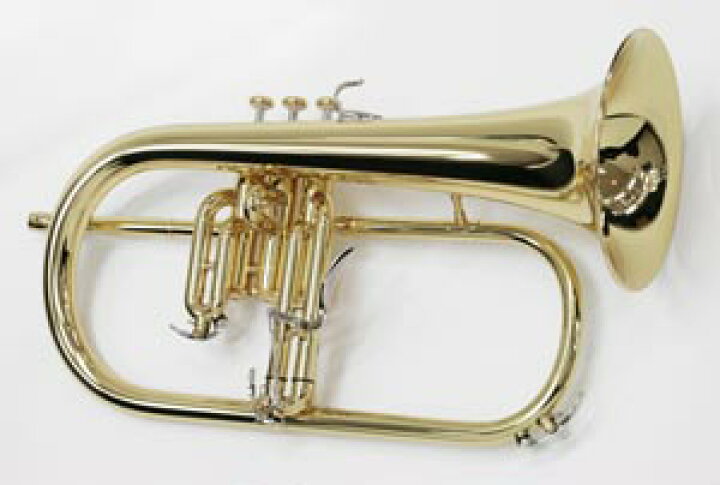 Yamaha フリューゲルホルン Yfh 10zs ヤマハ