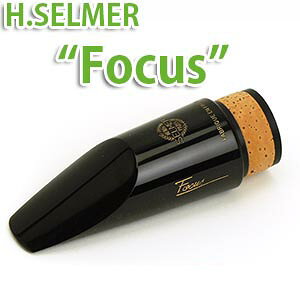 oXNlbgp}EXs[X yzZ}[ FocusutH[JXv