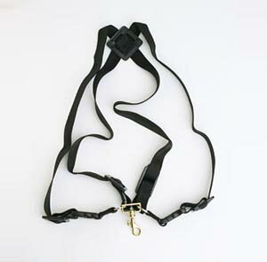 BG TbNXXgbv S41MSH n[lXfB[X XibvtbN