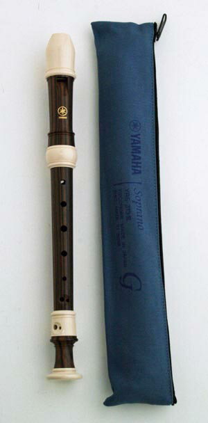 楽天市場 小学校のたて笛 ヤマハソプラノリコーダー Yrs 313iii ジャーマン式 ドイツ式 E Shopnakazen中善楽器