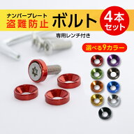ナンバープレート ボルト 盗難防止 ステンレス ネジ ナンバーボルト ワッシャー 専用レンチ付き M6 トル…