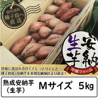 中園ファーム 熟成安納芋 Mサイズ 5キロ