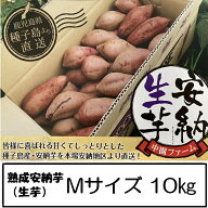 中園ファーム 熟成安納芋 Mサイズ 10キロ