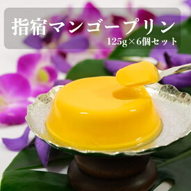 指宿マンゴープリン 125g×6個セット ≪送料無料≫ 指宿マンゴーブランド協会 ギフト 贈り物 指宿産 マンゴー鹿児島 いぶすき ギフト スイーツ プリン 常温 鹿児島特産 指宿特産 熨斗 対応 夏 お土産