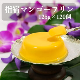 指宿マンゴープリン 125g×120個 業務用 【 送料無料 】ギフト 贈り物 指宿産 マンゴー 指宿マンゴーブランド協会 鹿児島 お取り寄せ ギフト スイーツ プリン 経済栽培 発祥 mango pudding 常温 特産 限定