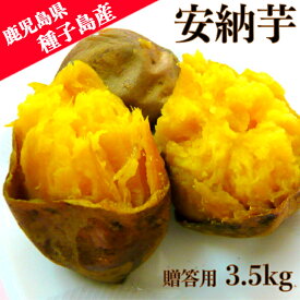種子島産 安納芋 3.5kg 送料無料贈り物 ギフト プレゼント 安納 鹿児島県産 さつまいも 低農薬 焼芋 焼き芋 やきいも 形揃い 贈答用 安納いも スイーツ 蜜芋 芋 熟成 限定 鹿児島 鹿児島県 お取り寄せ ミニ 小さめ 甘い 美味しい