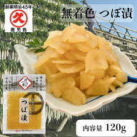 つぼ漬 無着色 鹿児島県産 120g × 1p 食品添加物不使用 無添加 創業明治45年 中園久太郎商店 中園 久太…