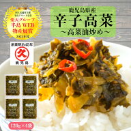 【楽天グルメ大賞 2024】【楽天グループ半島WEB物産展賞】 辛子高菜 高菜油炒め 鹿児島県産 120g×4袋 (4…