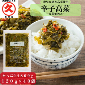 辛子高菜 高菜油炒め 鹿児島県産 120g×40袋 (4800g)【送料無料】 中園久太郎商店 国産 漬物 お漬物 食品 たかな 高菜炒め 油炒め 常温保存 ラーメン めし 高評価 通販 買い回り おにぎり 弁当 ピリ辛