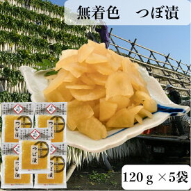 つぼ漬 無着色 鹿児島県産 120g × 5p 送料無料 食品添加物不使用 無添加 創業明治45年 中園久太郎商店 漬物 漬け物 お漬物 国産 鹿児島 おにぎりの具 お取り寄せ ご飯に合う 大根の漬物 懐かしい 定食 乳酸発酵 発酵
